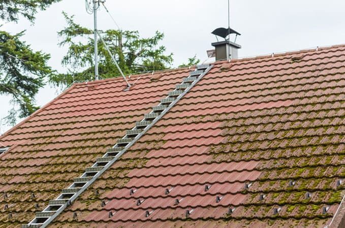 Démoussage de tuiles — FK Rénovation