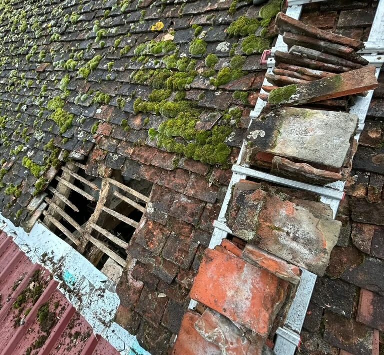 Démoussage — Les Compagnons de Votre Maison