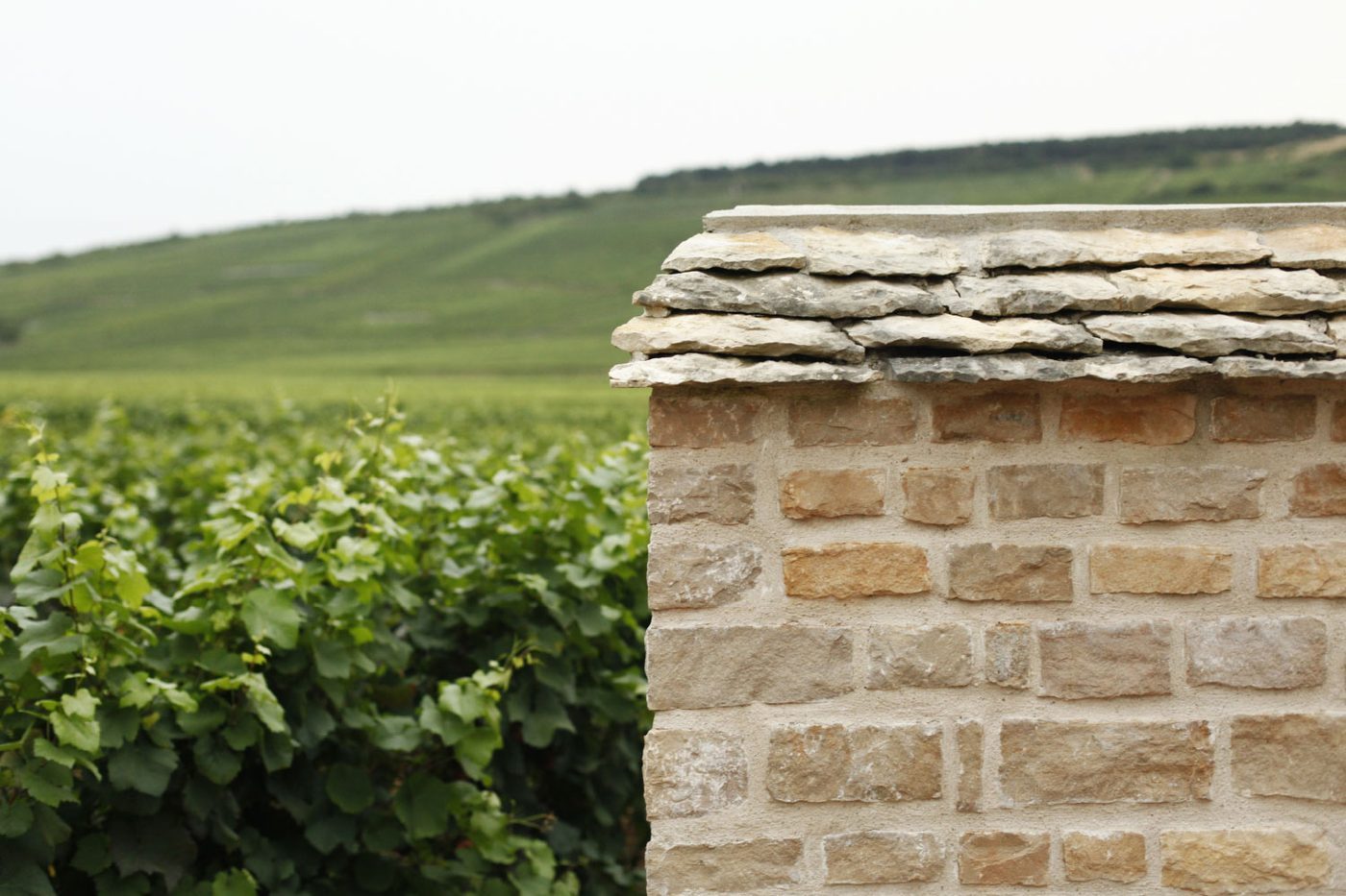 Réalisation — Les Laviers de Bourgogne