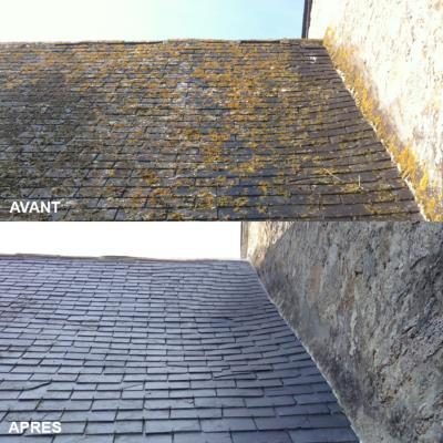 Réalisation — Morvan Démoussage
